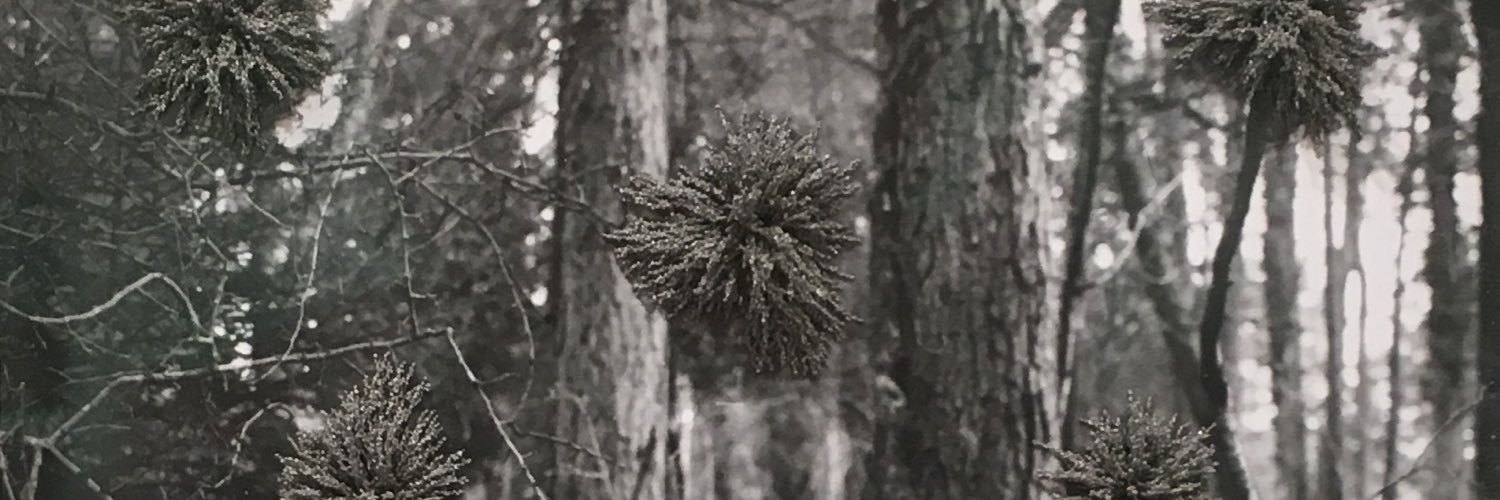PaulTecklenberg's profile banner image