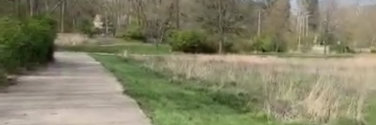 Noni ALShehri banner