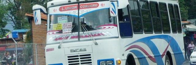 Linea Union Cordero banner