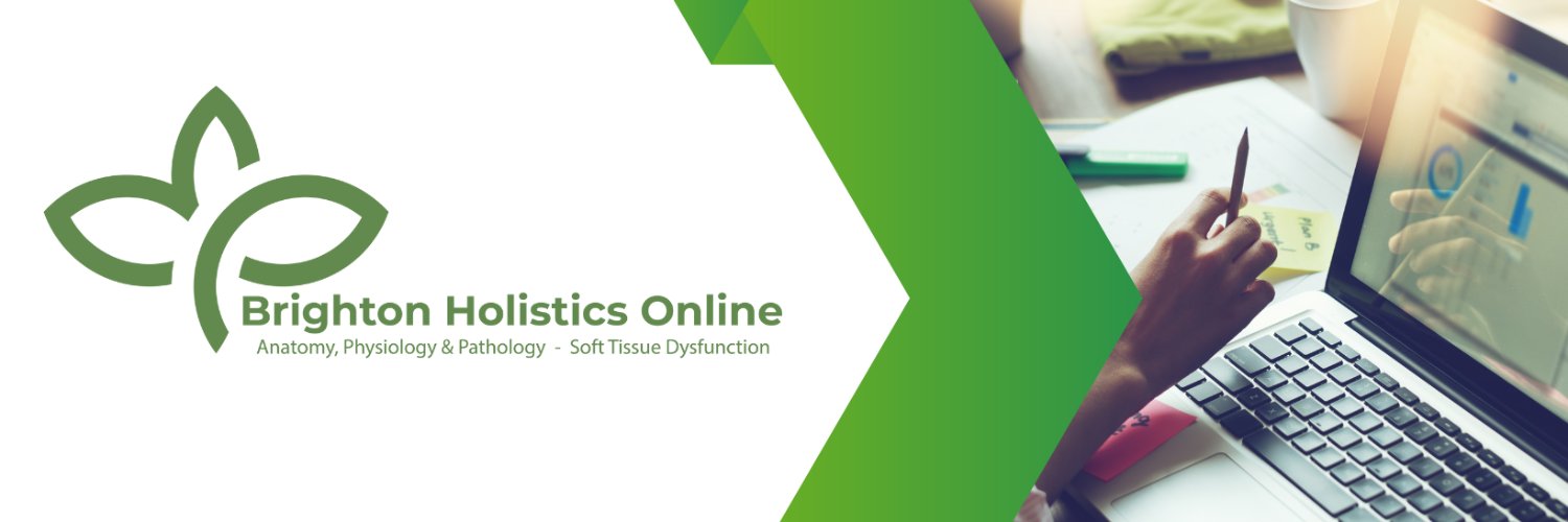 Brighton Holistics Online banner