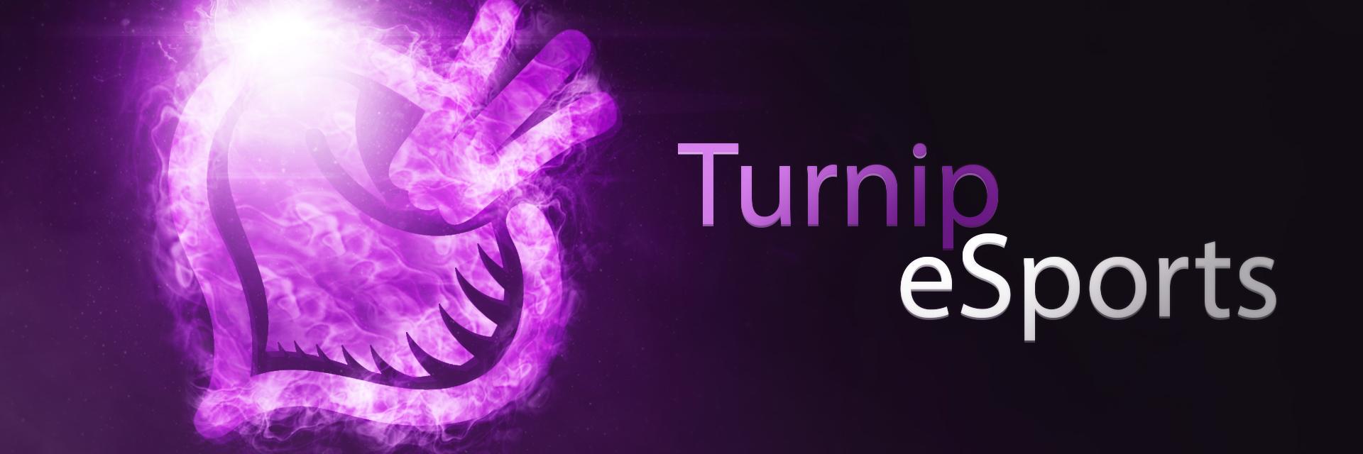 TurnipeSports's profile banner image