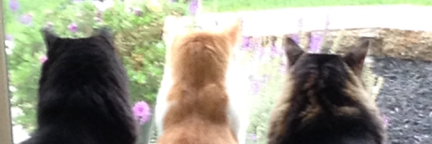 AngK72's profile banner image