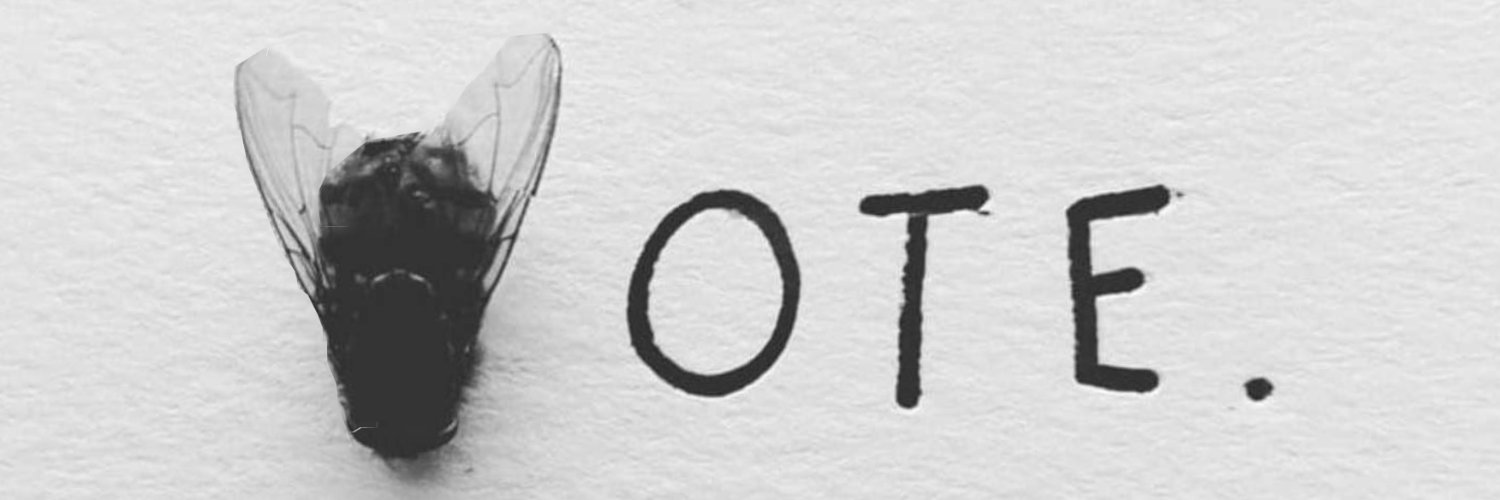Rio banner