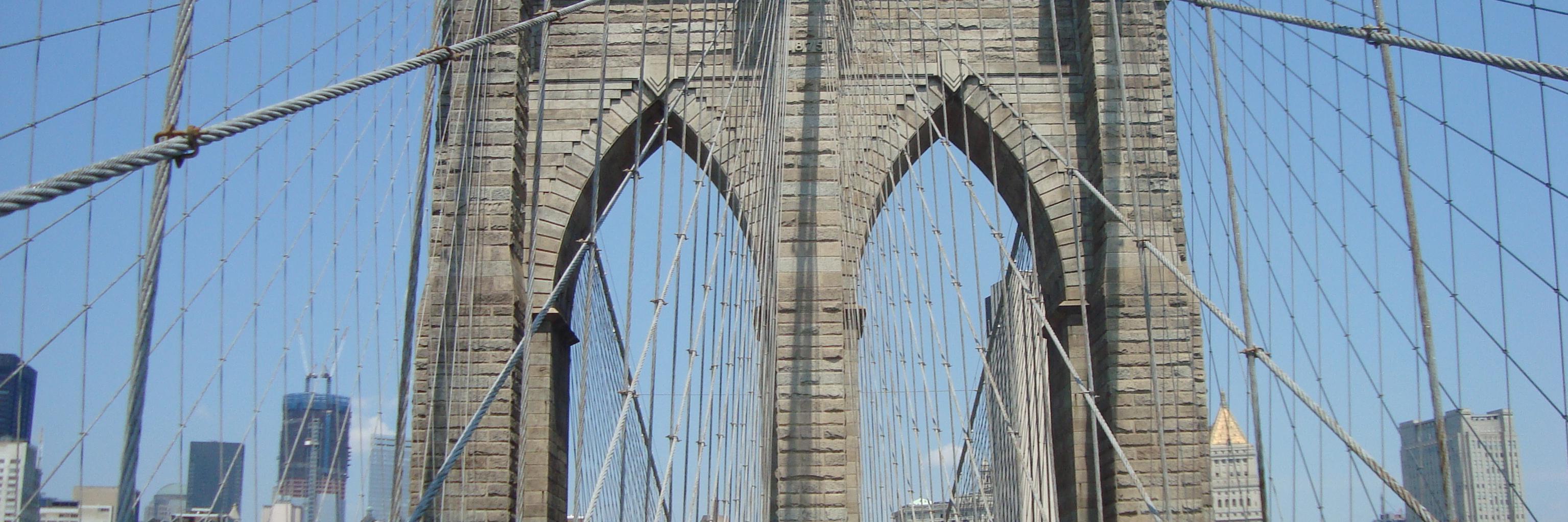 Robert Paling banner