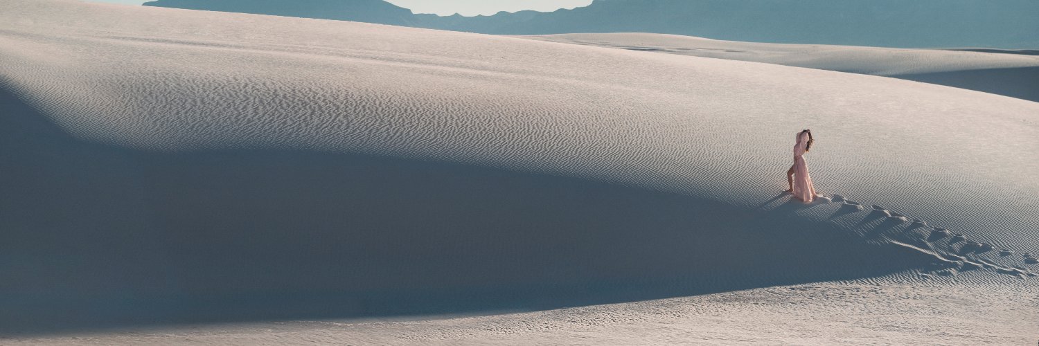 MitchyBiscuits banner