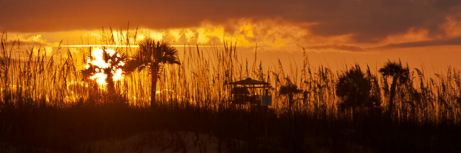 ISeaImages's profile banner image