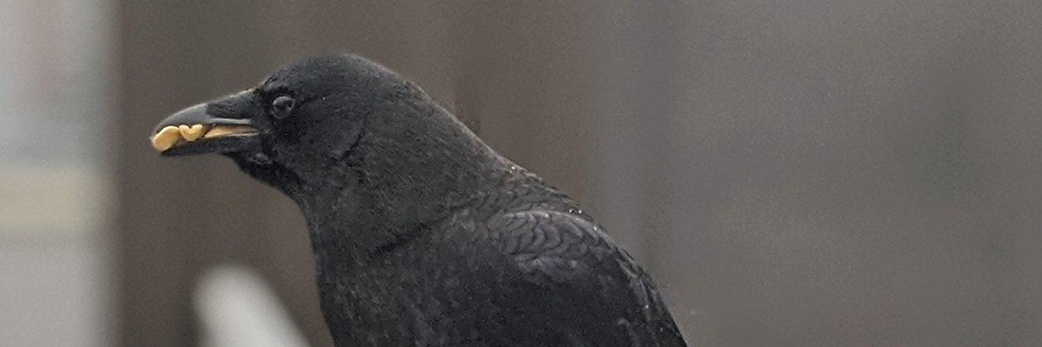 chamington1's profile banner image