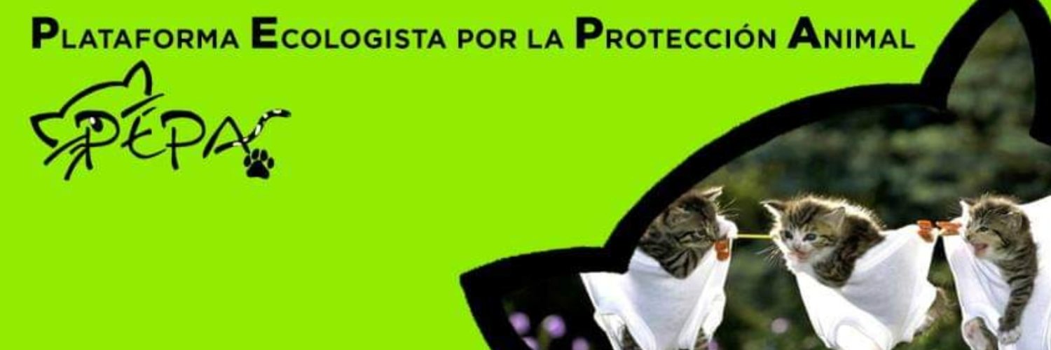 pepanimal's profile banner image