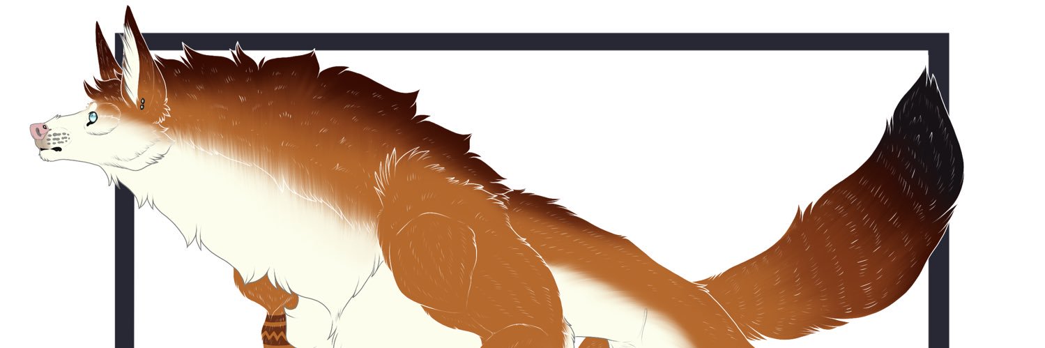 KillerWolfPack's profile banner image