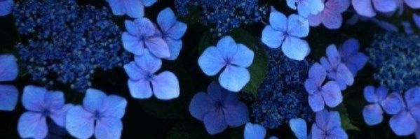 Giogio_Meg's profile banner image