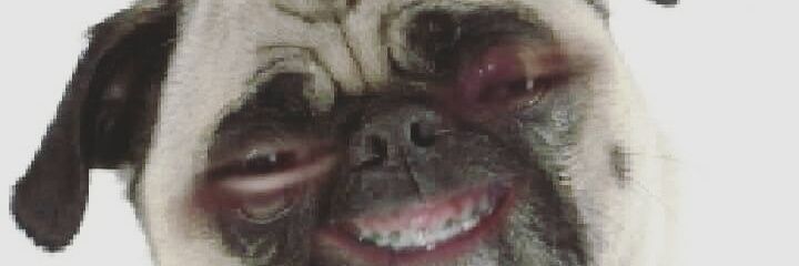 RumbeaBau's profile banner image
