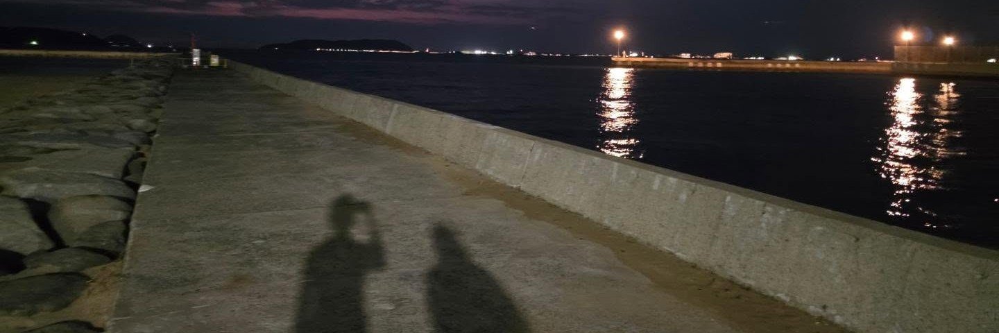 fagewon's profile banner image