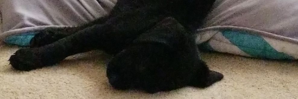ZatkSmash's profile banner image