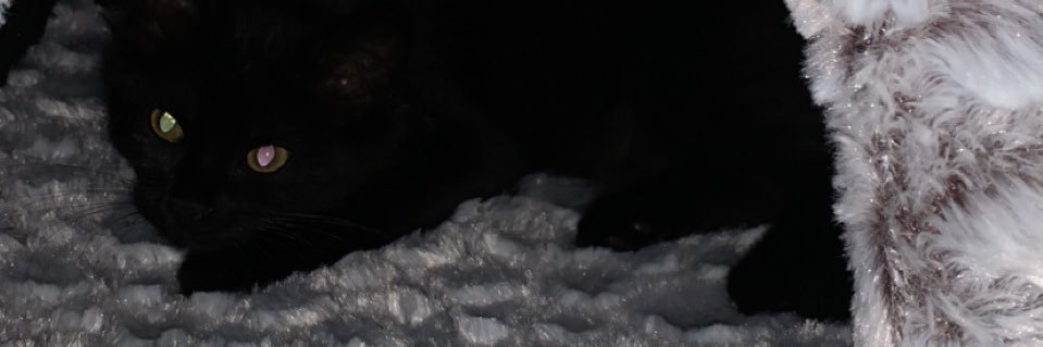 benbvrg's profile banner image