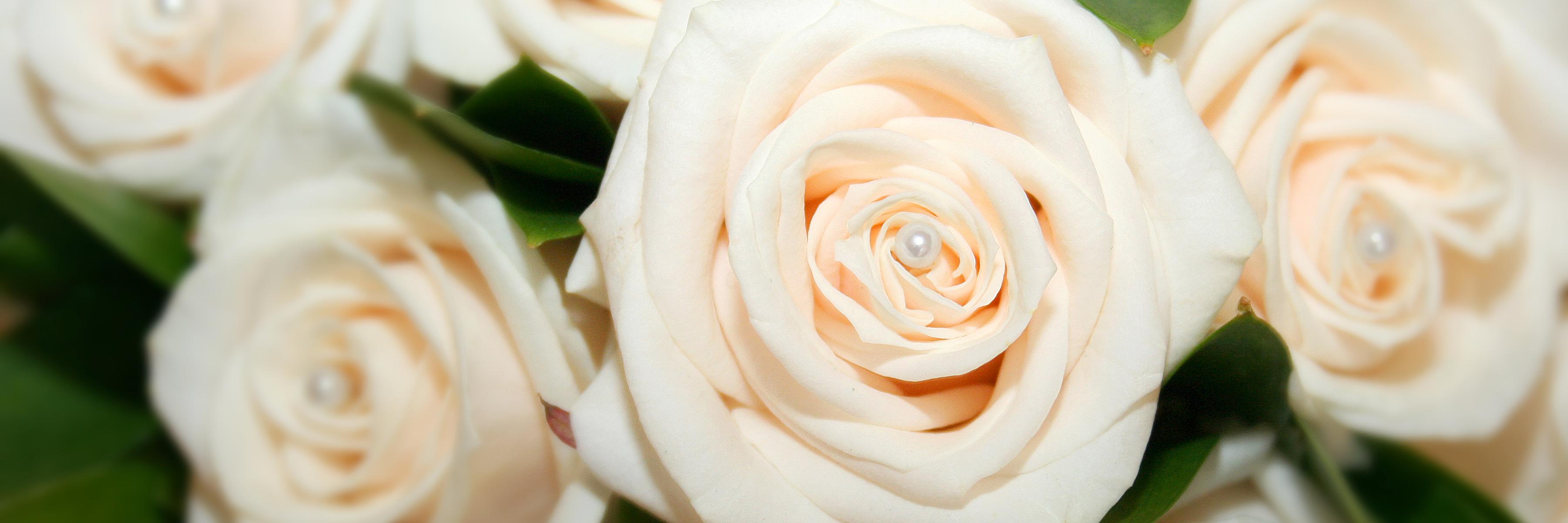 PhotographicLee's profile banner image