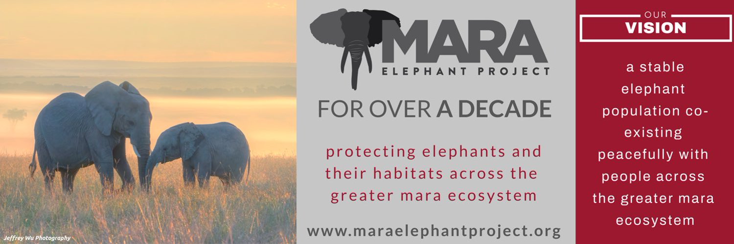 Mara Elephant Project Profile Banner