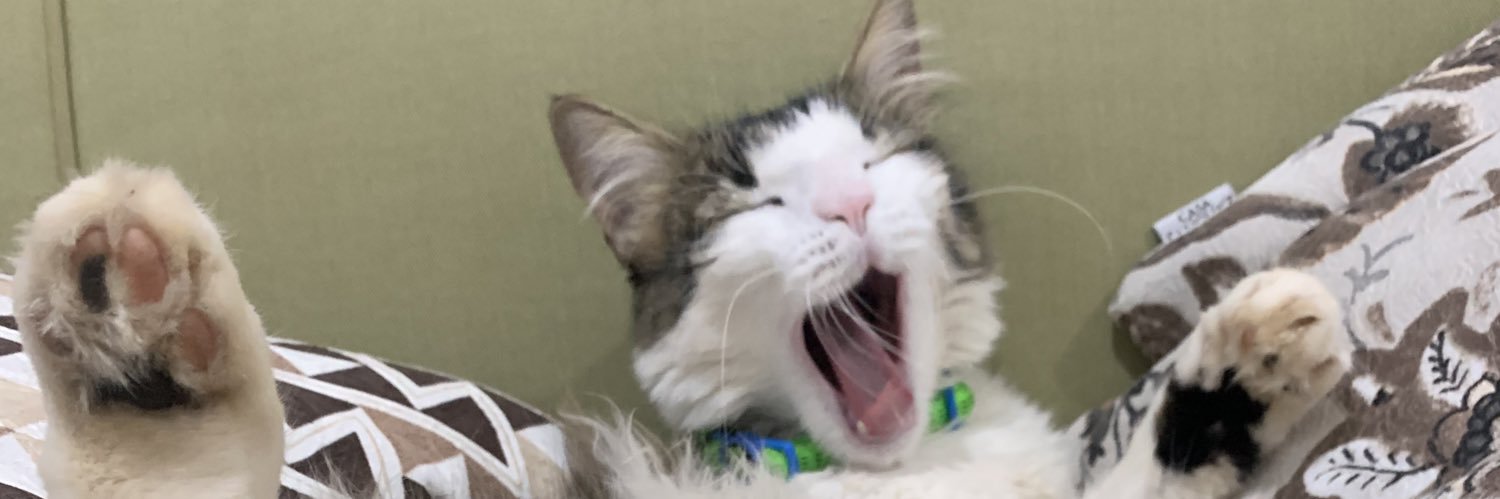 gvmpieroni's profile banner image