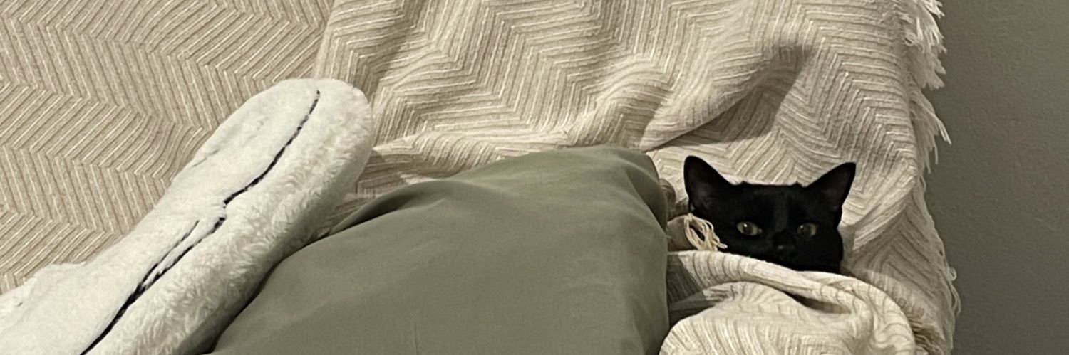 taisdes's profile banner image