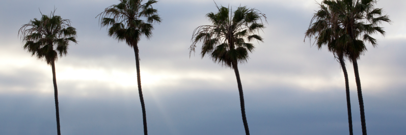 M_Blank_Photo's profile banner image