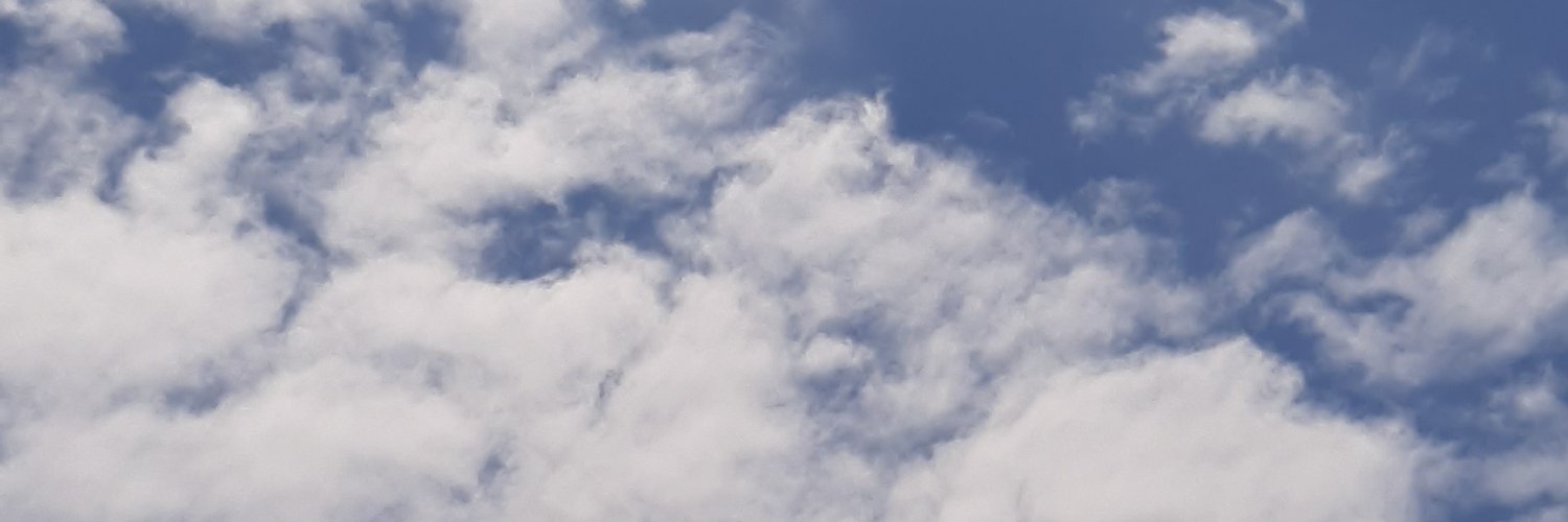 rinadistra's profile banner image
