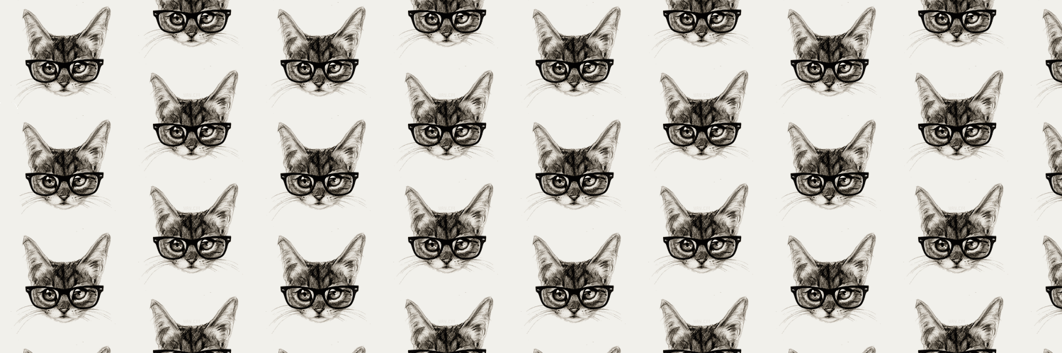 tomypka's profile banner image