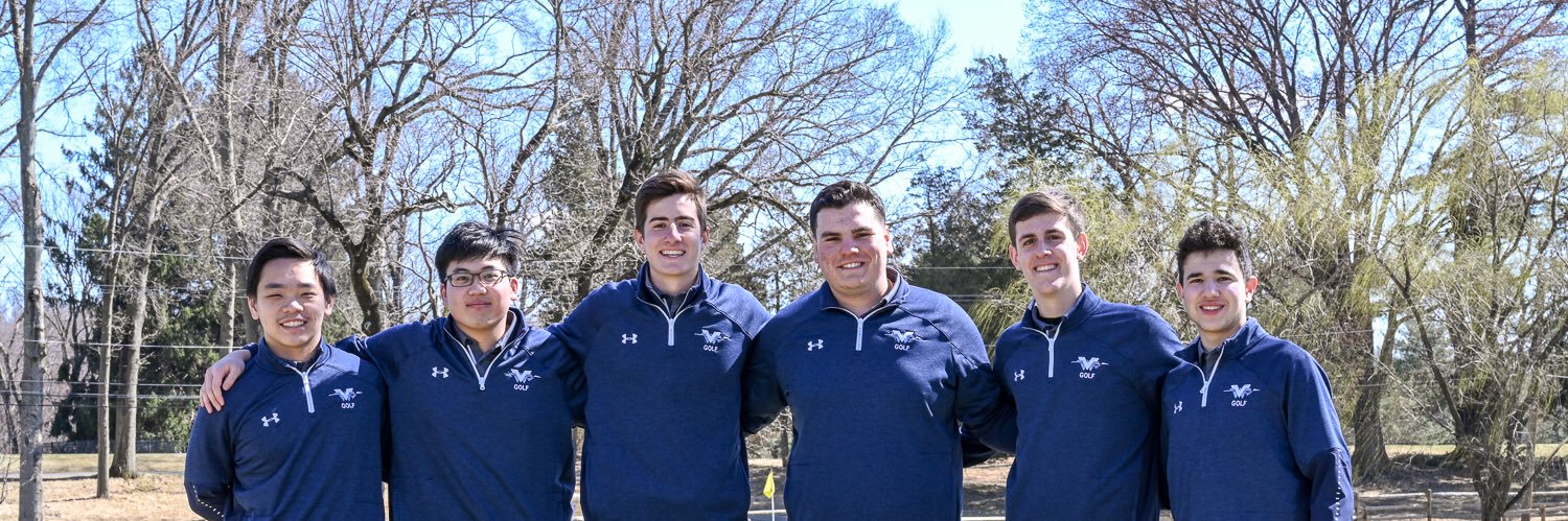 waynevalleygolf's profile banner image