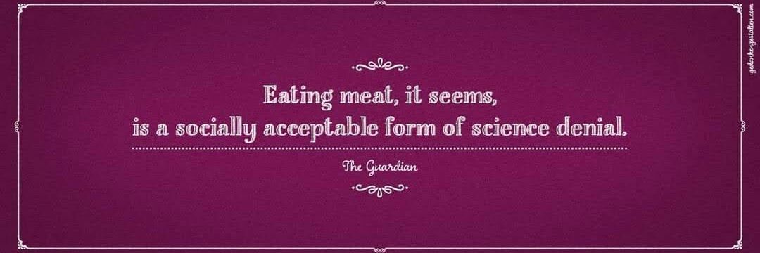 🌻 Judelchen sagtFrauMama 🌱 banner