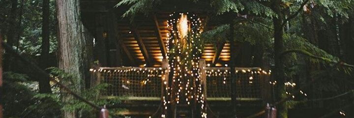 TrezerWere's profile banner image