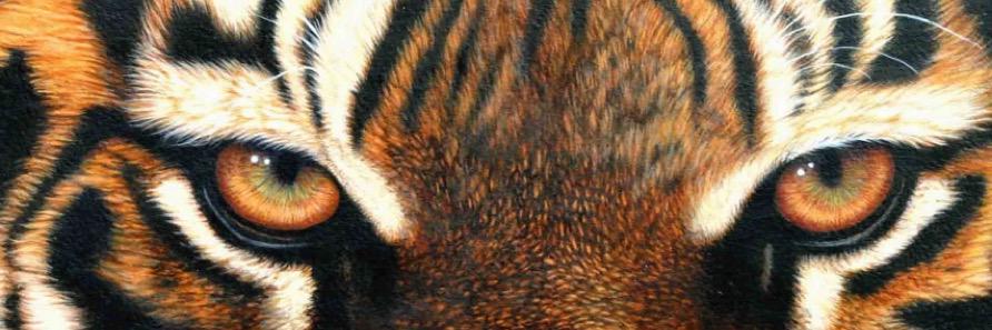 TheJungle_THS's profile banner image
