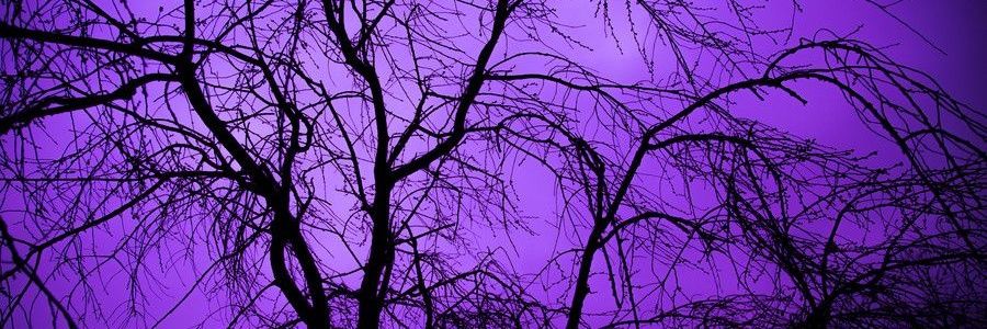 BaltysaurusRex's profile banner image