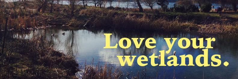 WaterCyclesBC's profile banner image