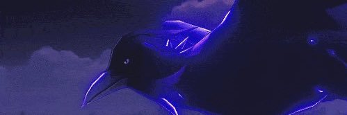 diveinkayle's profile banner image