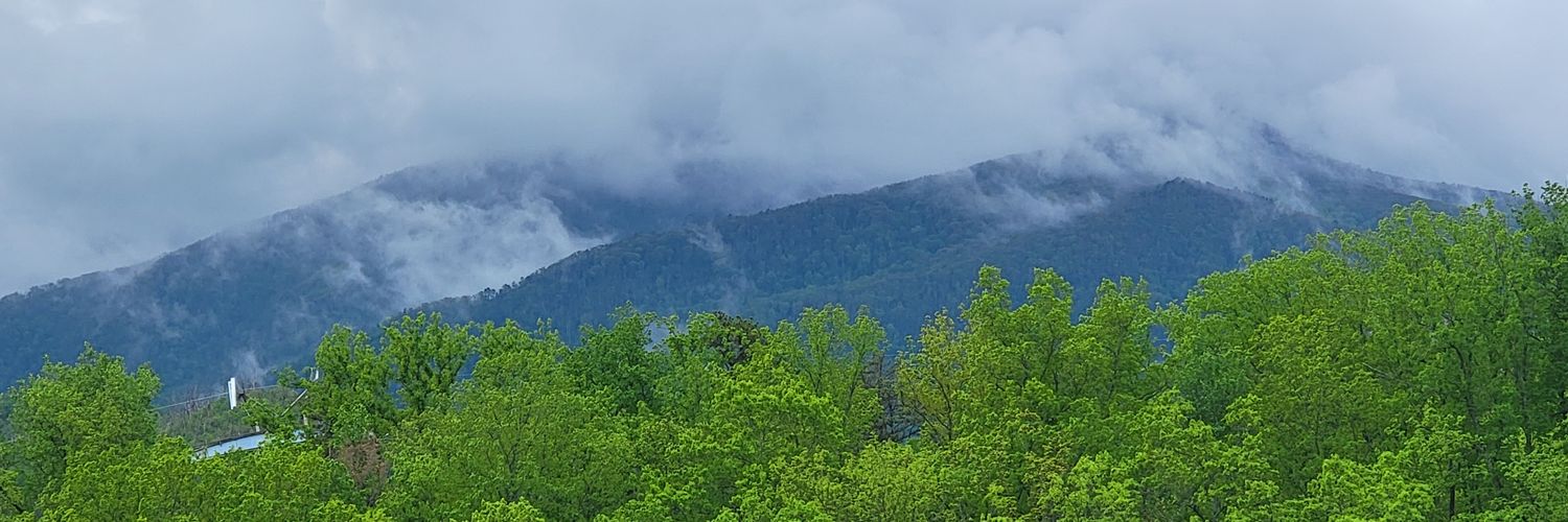 jaqualynna's profile banner image