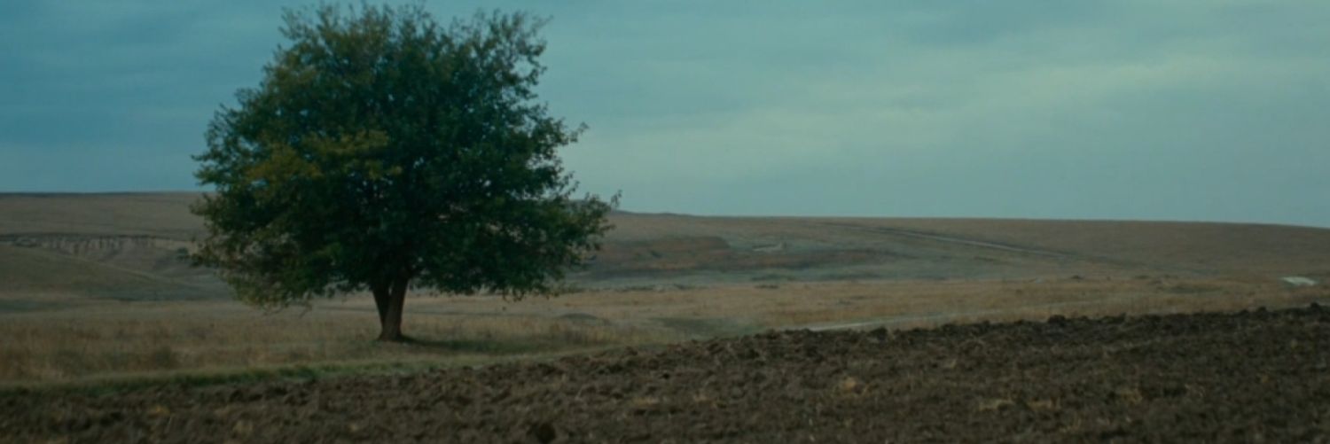 ozlmtl's profile banner image