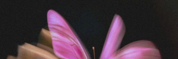 luceliazx's profile banner image