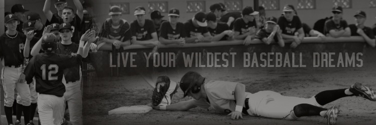 Fieldhouse Pirates banner