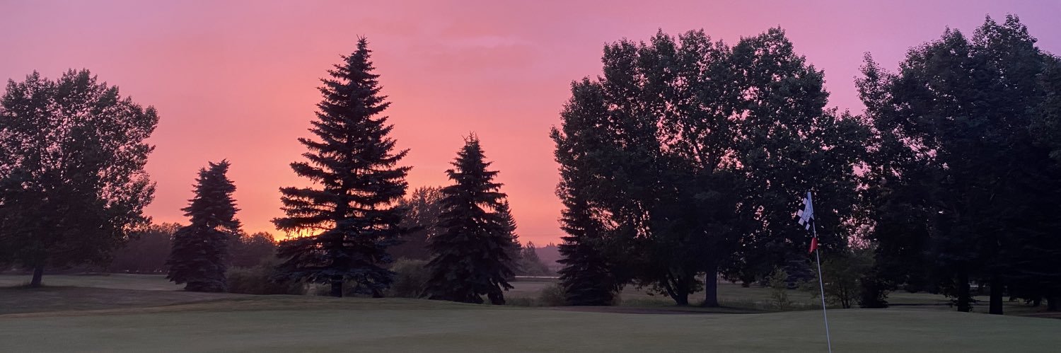 Tyra Hellquist banner