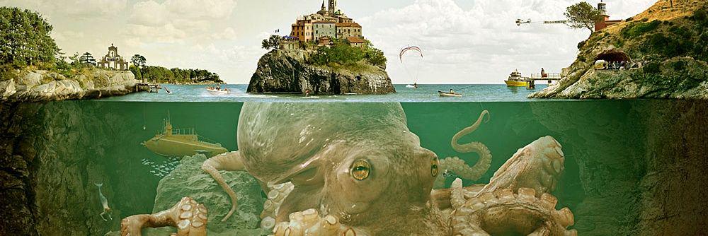 Xavier Trapnel banner