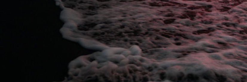 Maria banner