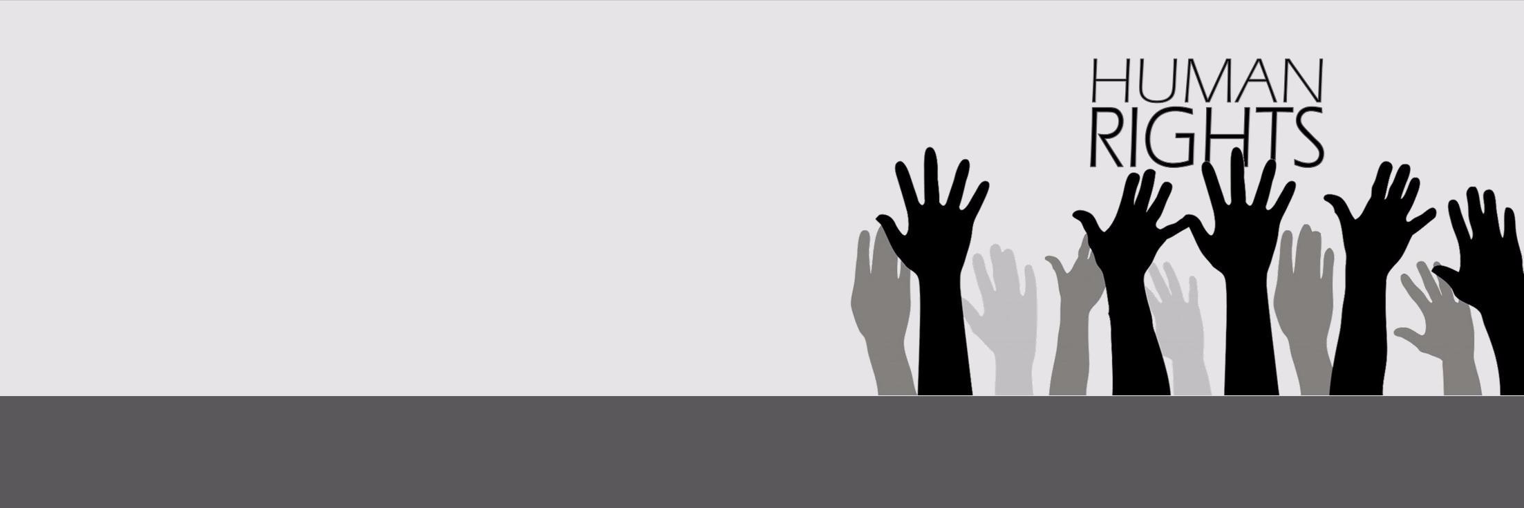Kurdistan Human Rights Network's banner