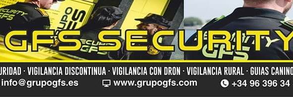 GFS SECURITY GROUP banner
