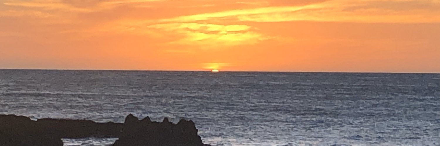 SimsDave2's profile banner image