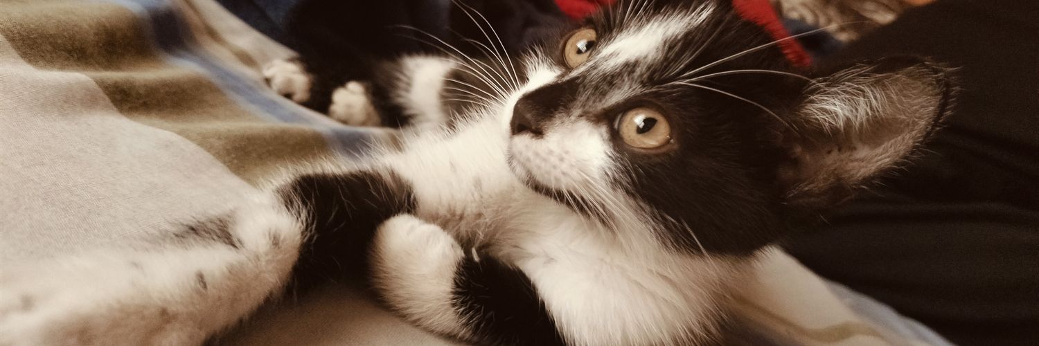 julianem12's profile banner image