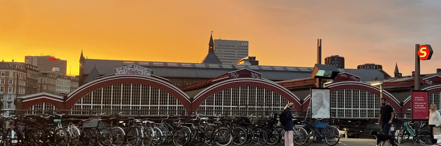 Magnus Sæbye banner