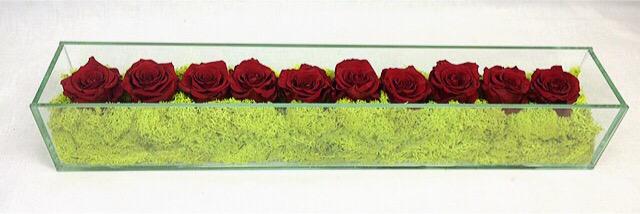 NovaCollection banner