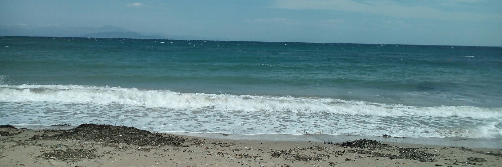 Maria JM banner