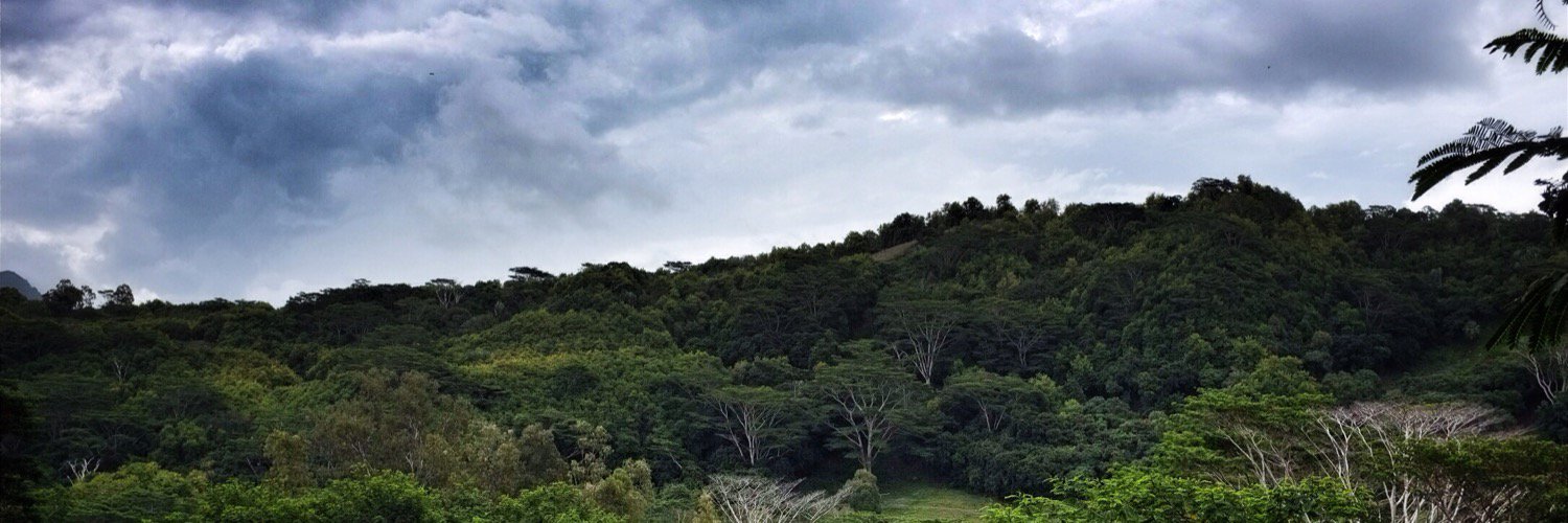 Bulodusun's profile banner image