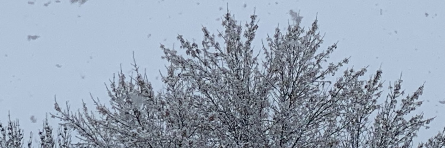 popsometags295's profile banner image