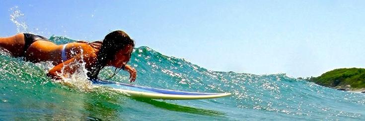 Megan Saunders banner