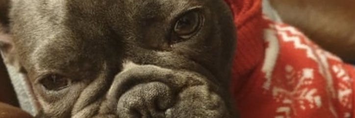 lovesbanter's profile banner image